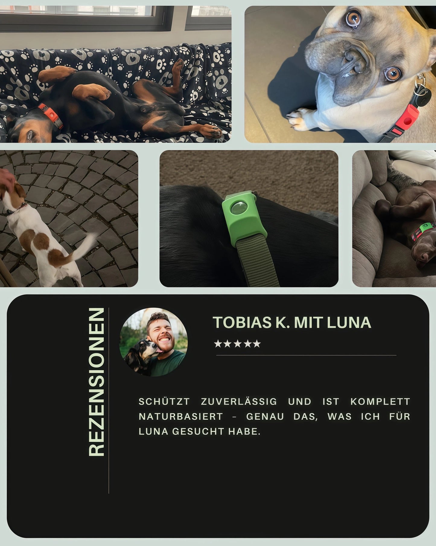 Floh & Zeckenschutz-Anhänger