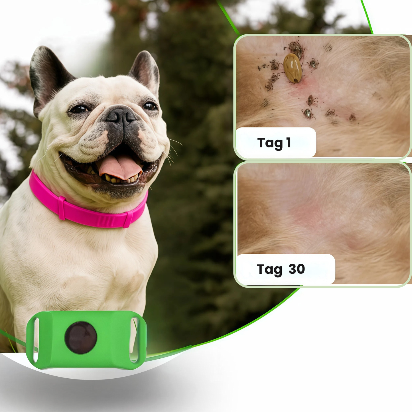 Floh & Zeckenschutz-Anhänger